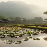 The Concept of Interconnectedness in Zen