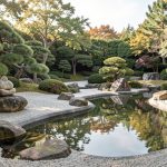 Zen and the Question of Social Purpose