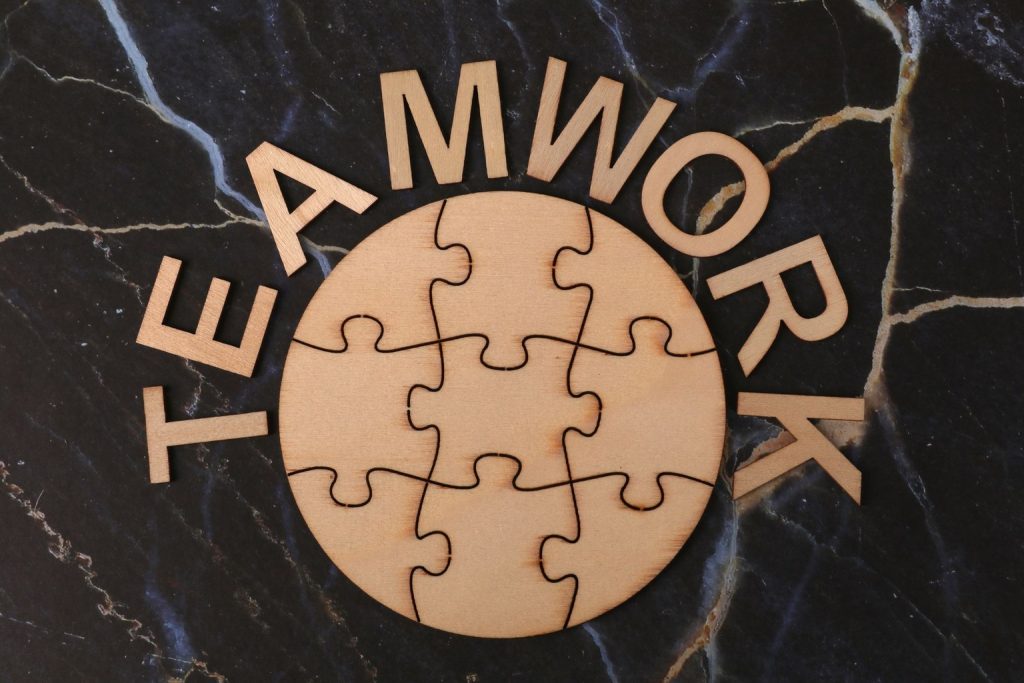 The Psychology of Self-Interested Behavior