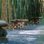 Zen and the Ethics of Shared Space