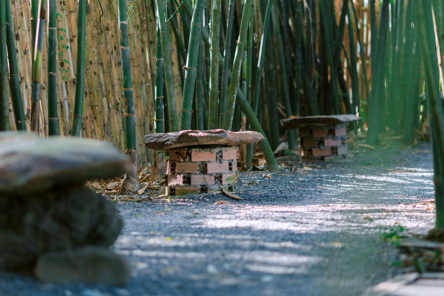 Zen and the Ethics of Shared Space
