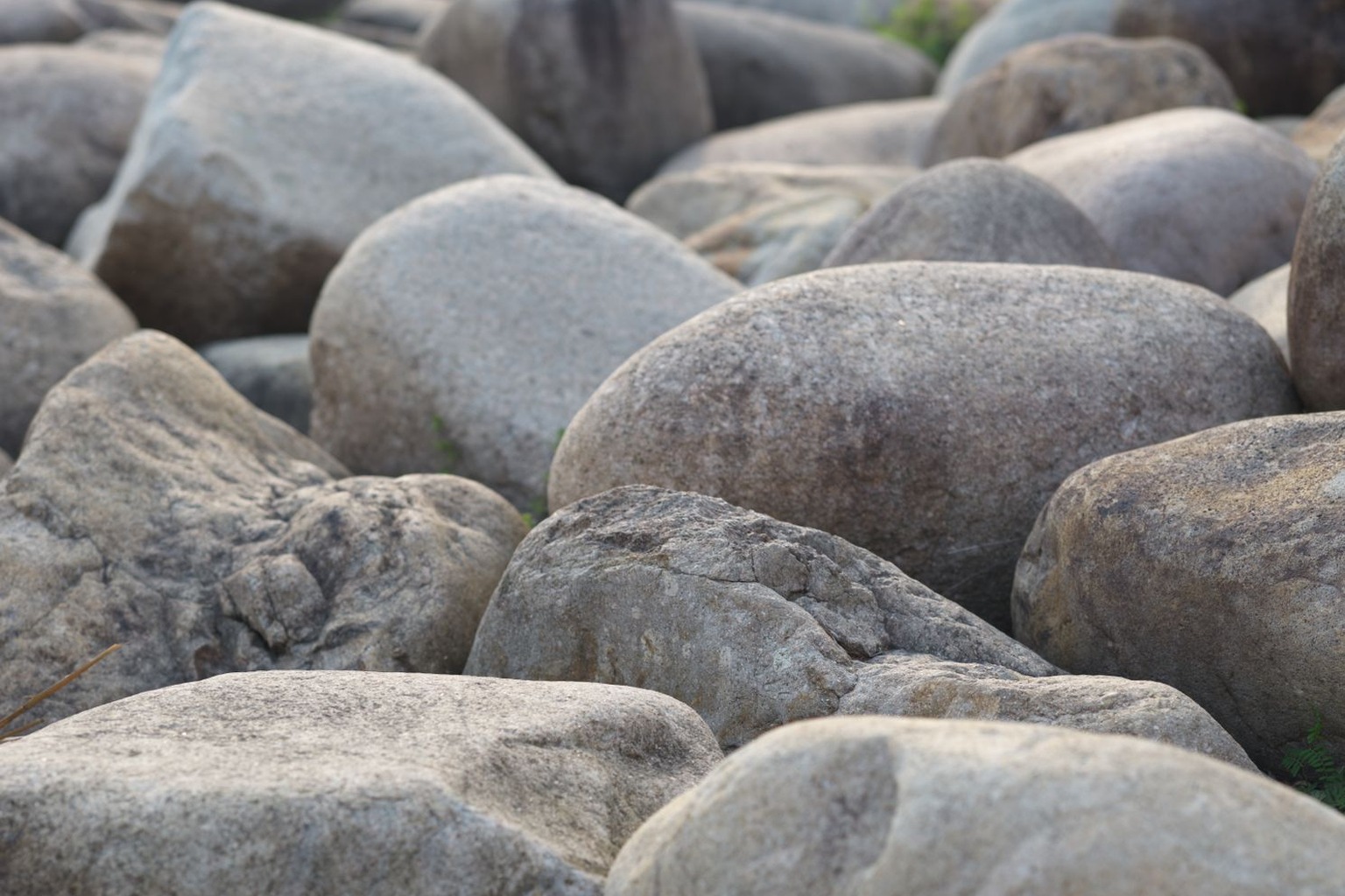 Zen and the Philosophy of Collective Growth — Step Three: Establish Mindful Communication Protocols